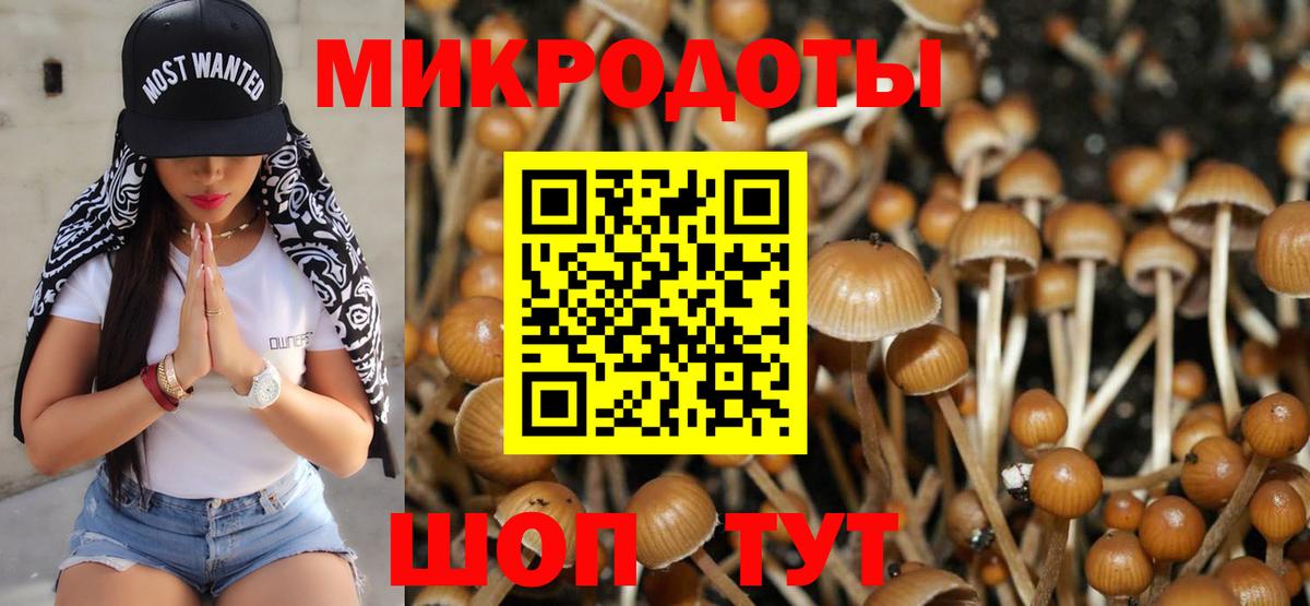 Галлюциногенные грибы Psilocybine cubensis  купить наркоту  Северобайкальск  Вход с VPN 